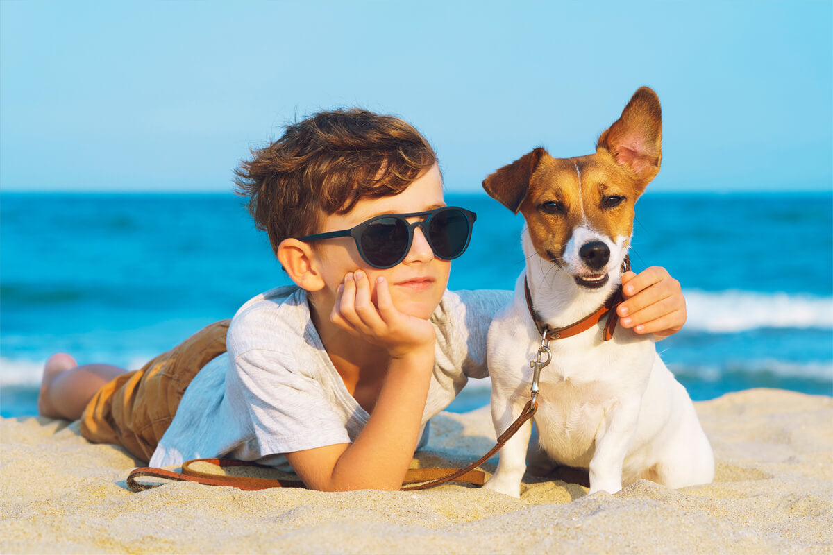 The Truth About Palm Oil for Dogs