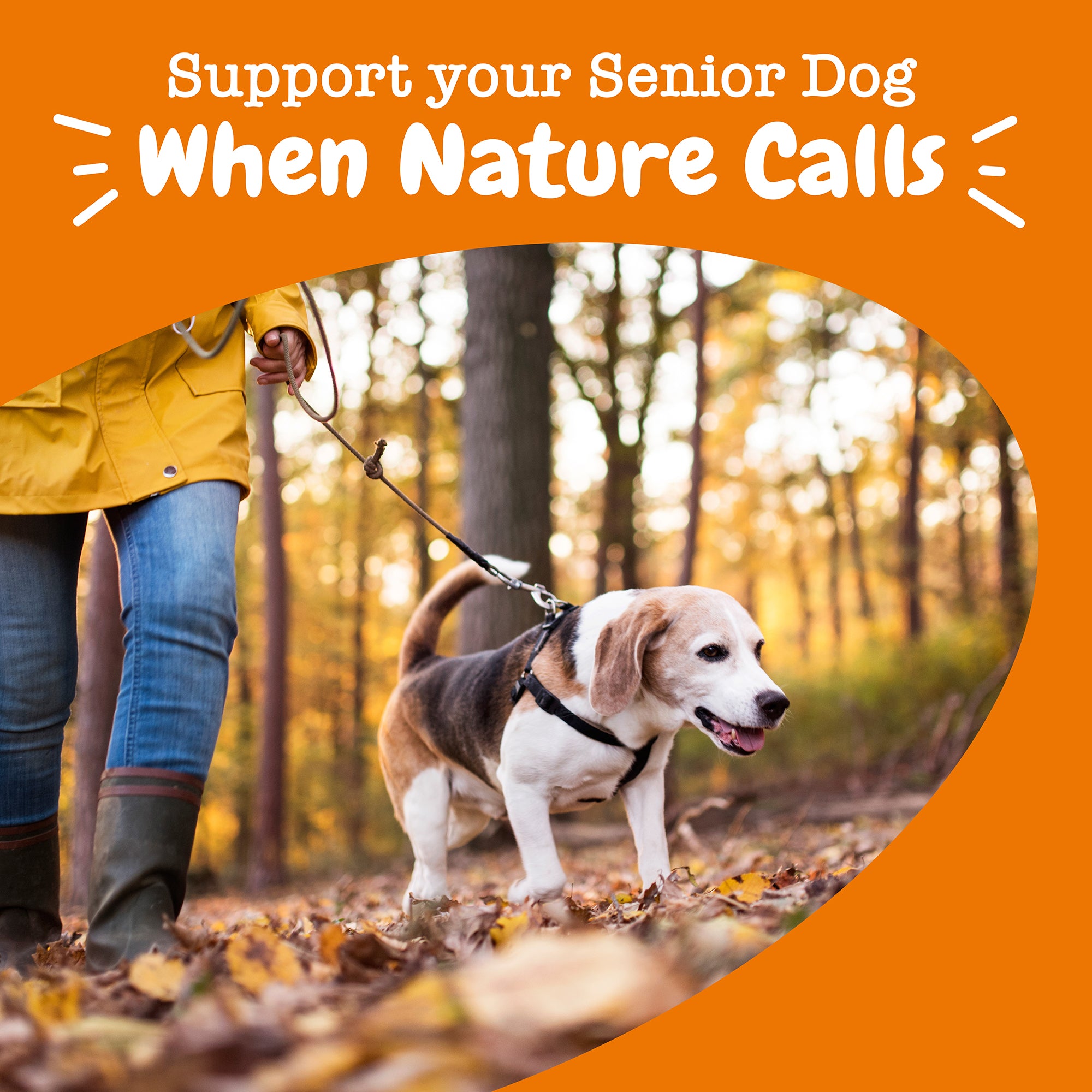 Senior Advanced Urinary Tract Bites