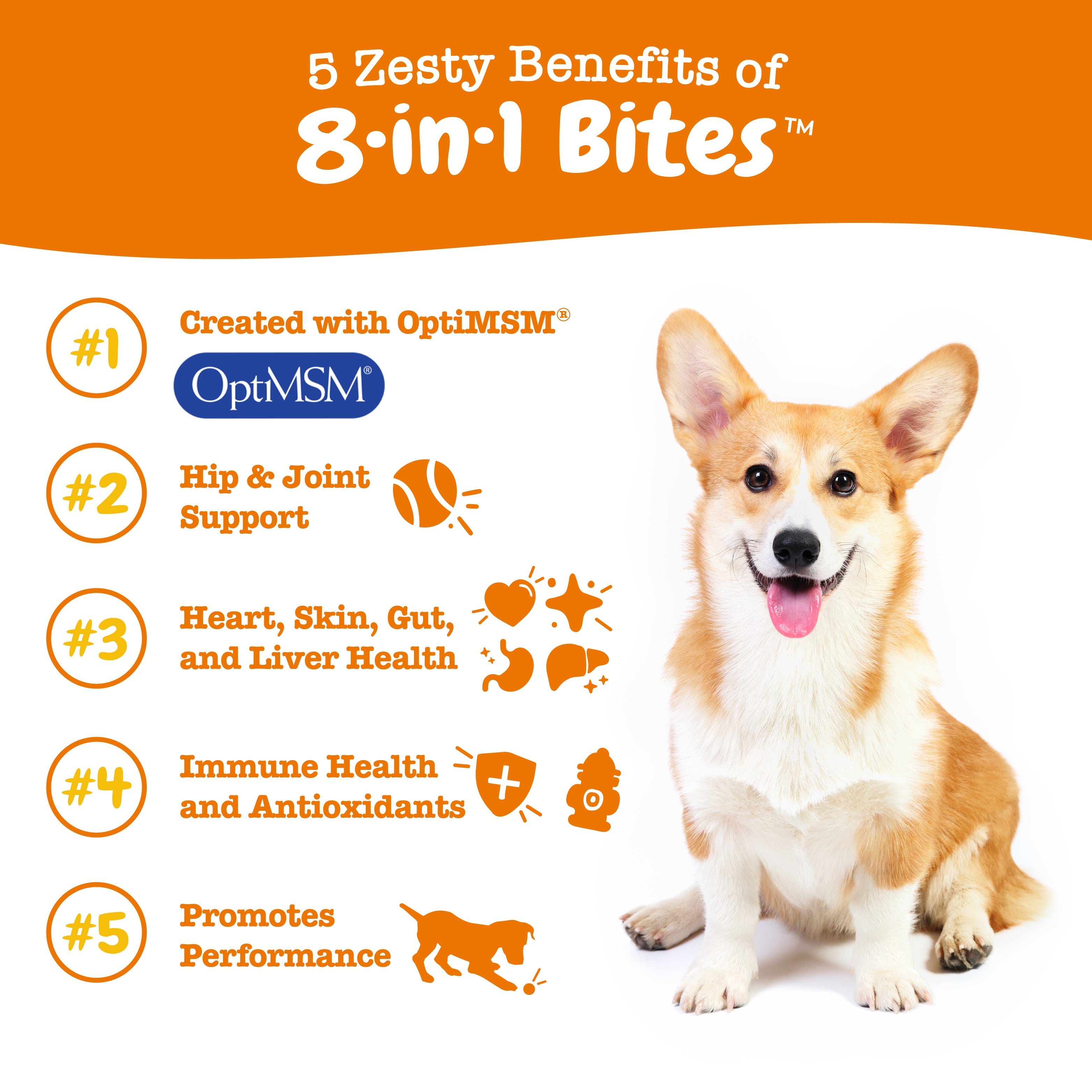 8-in-1 Multivitamin Bites for Dogs