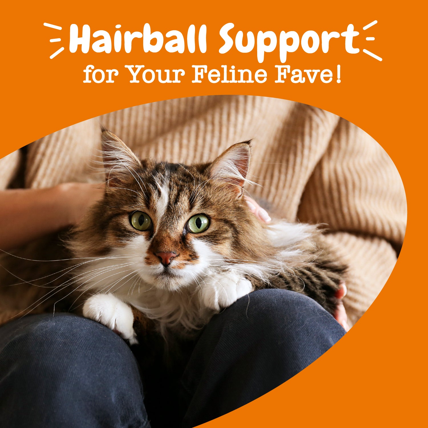 Hairball Bites™ for Cats
