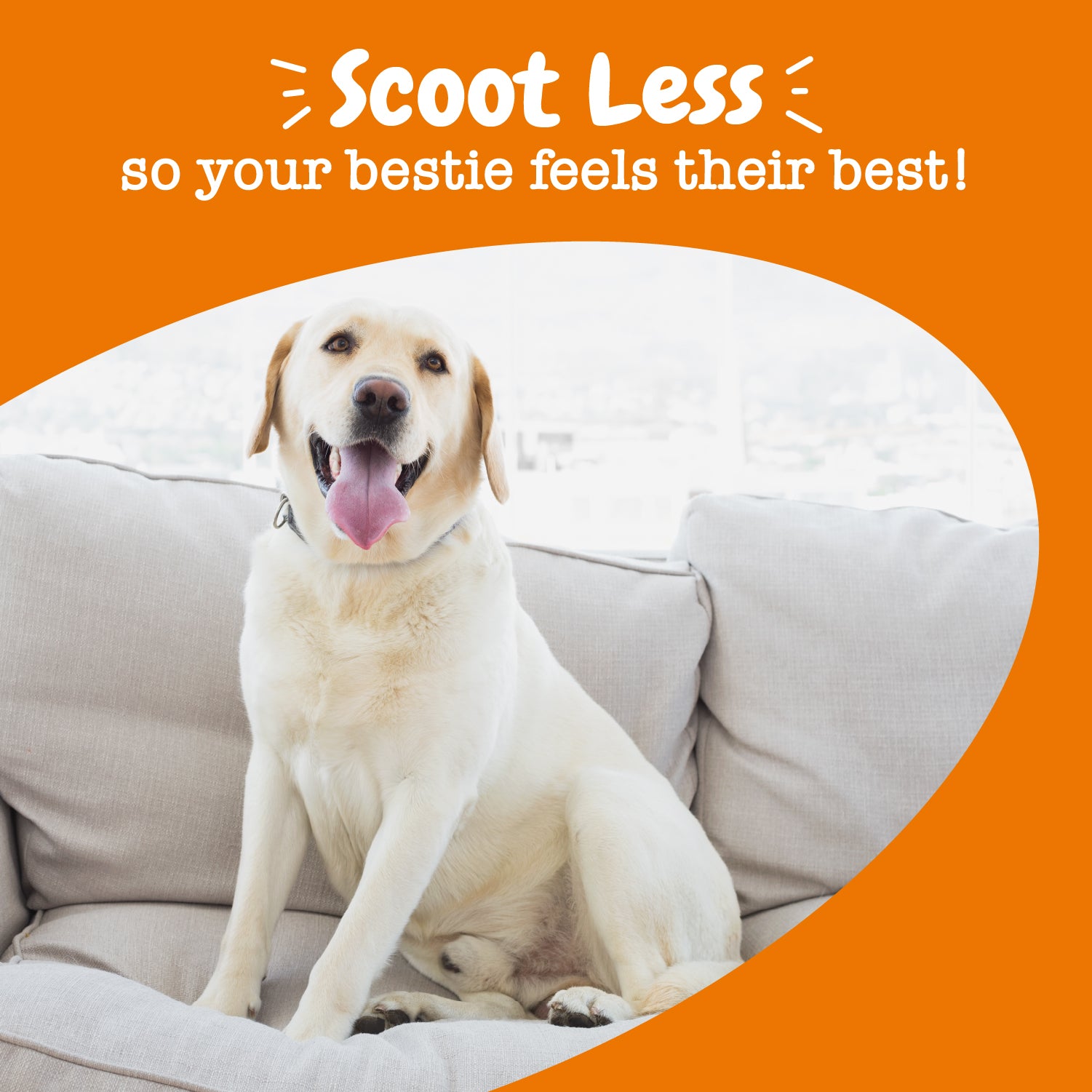 Scoot Away Bites™ for Dogs