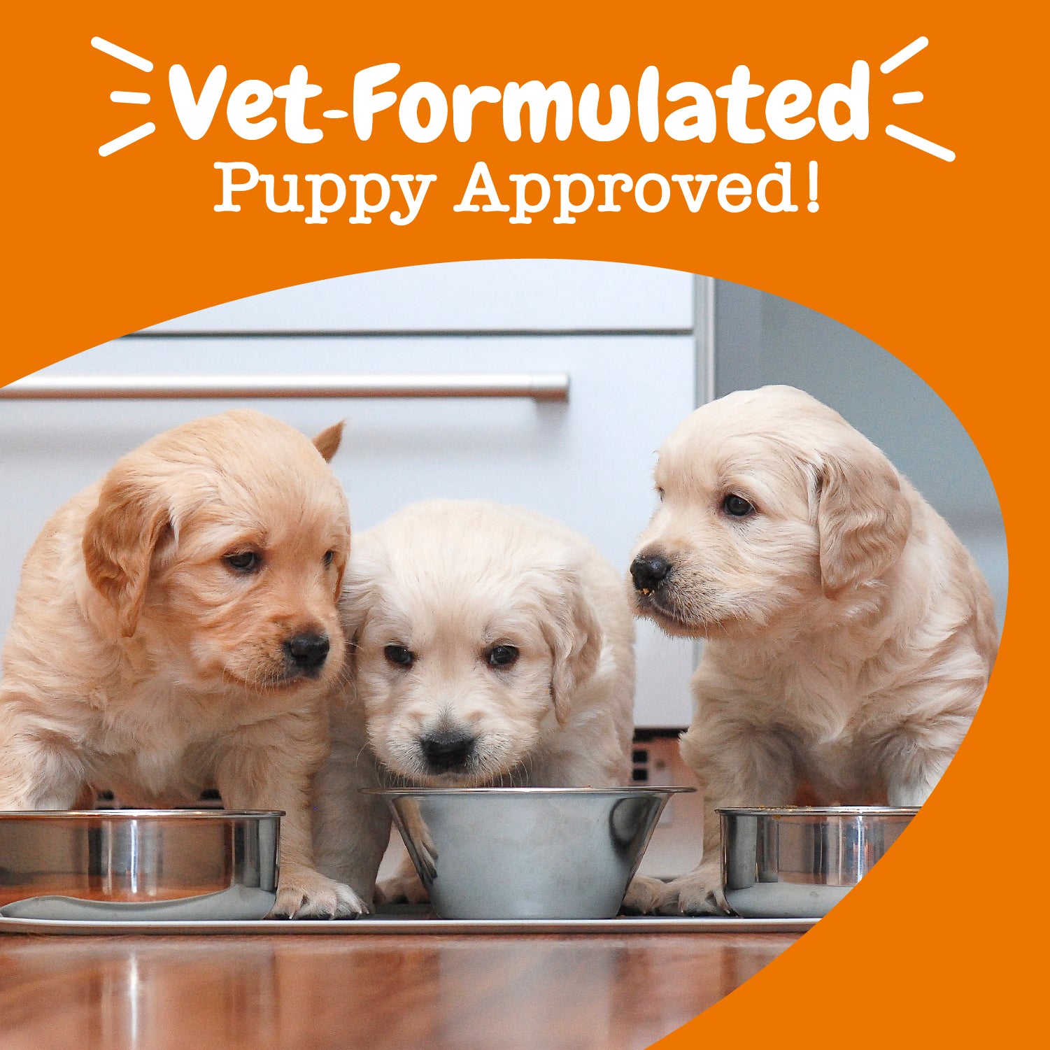 Puppy Milk Replacer + Colostrum