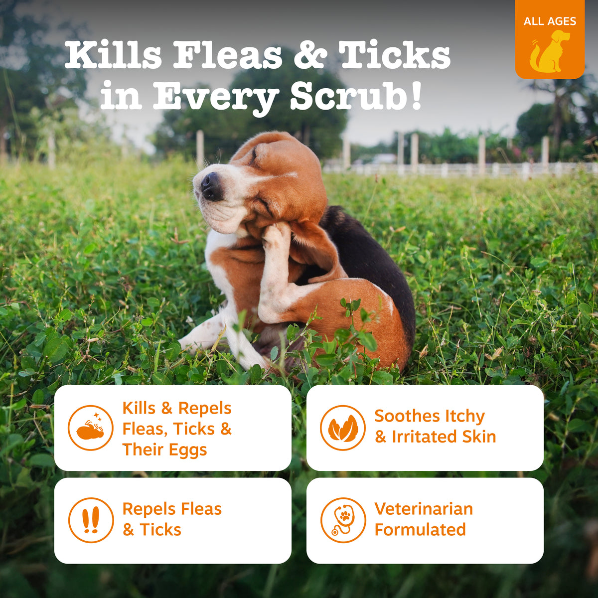 Flea & Tick Spray